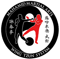 Mahamid Martial Arts